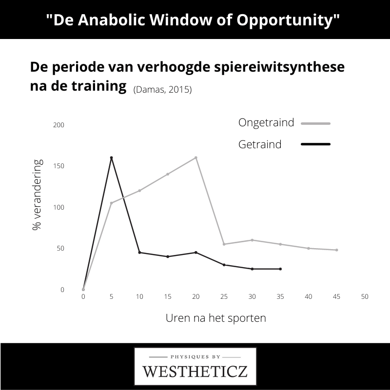 Spiereiwitsynthese anabolic window of opportunity
